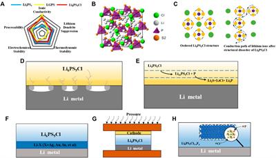 Regulation of the Interfaces Between Argyrodite Solid Electrolytes and Lithium Metal Anode